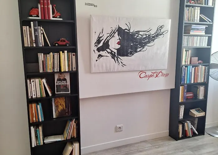 Apartment Fun And Quiet